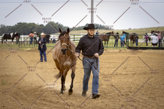 PCSCShow51626_1564