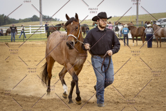 PCSCShow51626_1565