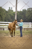 PCSCShow51626_1566