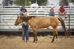 PCSCShow51626_1582