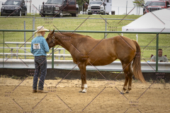 PCSCShow51626_1584