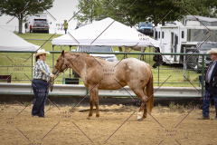 PCSCShow51626_1587