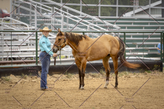 PCSCShow51626_1591