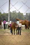 PCSCShow51626_1611