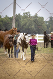 PCSCShow51626_1630