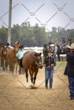 PCSCShow51626_1650