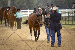 PCSCShow51626_1651