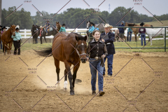 PCSCShow51626_1655
