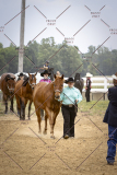 PCSCShow51626_1665