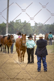 PCSCShow51626_1667