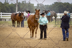 PCSCShow51626_1669