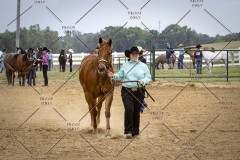 PCSCShow51626_1673