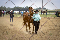PCSCShow51626_1676