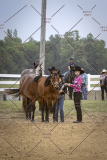 PCSCShow51626_1677