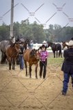PCSCShow51626_1681