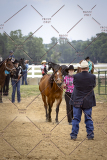 PCSCShow51626_1683