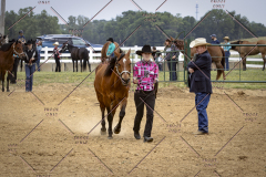 PCSCShow51626_1685