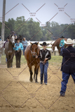 PCSCShow51626_1697