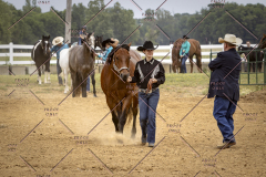 PCSCShow51626_1699
