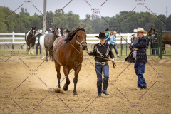 PCSCShow51626_1701