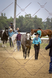 PCSCShow51626_1709