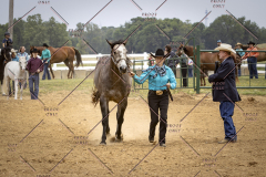 PCSCShow51626_1713