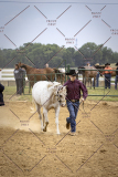 PCSCShow51626_1727