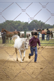 PCSCShow51626_1728