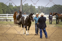 PCSCShow51626_1739