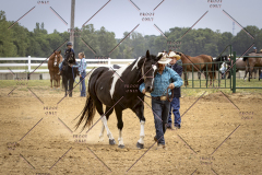 PCSCShow51626_1744