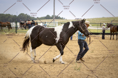 PCSCShow51626_1749