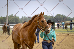 PCSCShow51626_1775