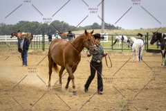 PCSCShow51626_1790
