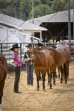 PCSCShow51626_1803