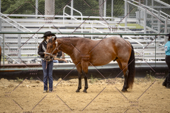 PCSCShow51626_1825