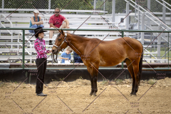 PCSCShow51626_1827