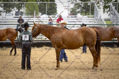 PCSCShow51626_1830