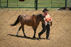 PCSC051819_3601