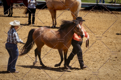 PCSC051819_3604