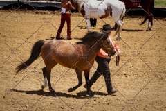 PCSC051819_3606