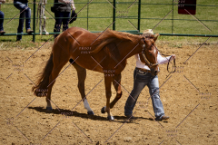 PCSC051819_3613