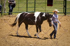 PCSC051819_3626