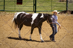 PCSC051819_3628