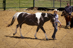 PCSC051819_3630