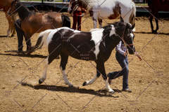 PCSC051819_3635
