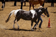 PCSC051819_3637