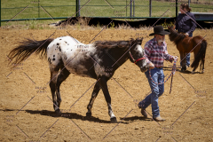 PCSC051819_3645