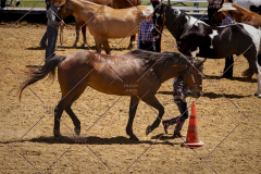 PCSC051819_3660