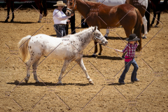 PCSC051819_3668