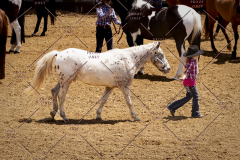 PCSC051819_3670